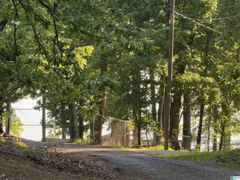 8.1 Acres Waterfront Land