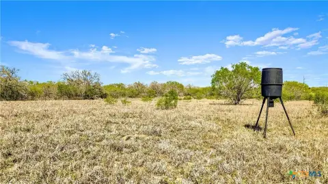 Texas Land Outside Seguin