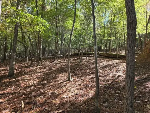 Residential Land Lot in Gated Resort