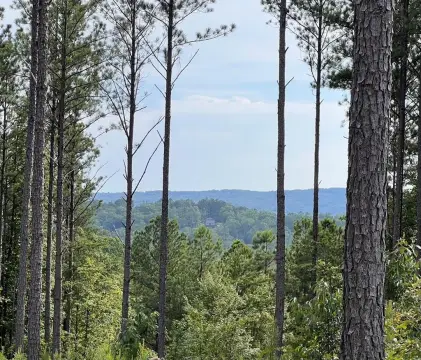Mountain View Building Lot