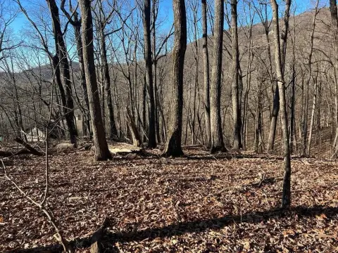 Gently Sloping Residential Lot