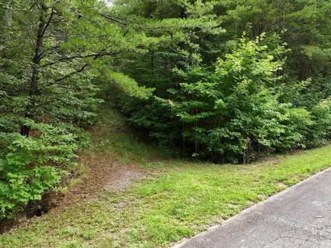 Build-Ready Mountain Homesite