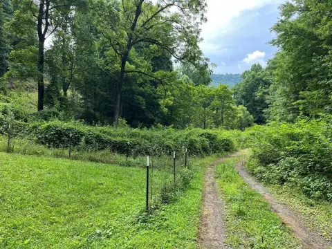 Two Adjacent Mountain Lots