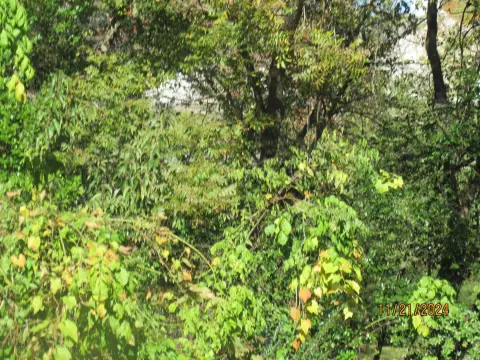 Commercial Land with Road Frontage