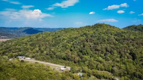 Wooded Hunting Land