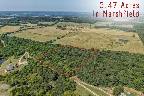 Marshfield Land with Wooded Privacy