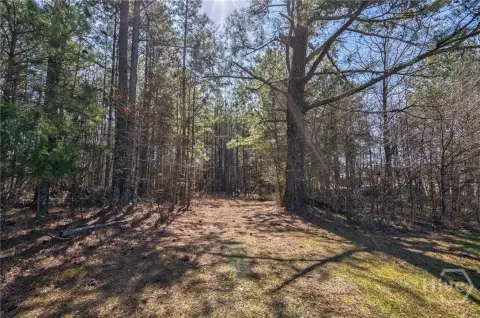 11 Acres in Loganville, GA
