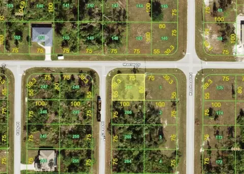 Rotonda Sands Corner Lot