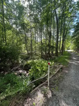 Unrestricted Mountain Buildable Land