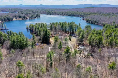 Wooded Recreational Land with Pond Access