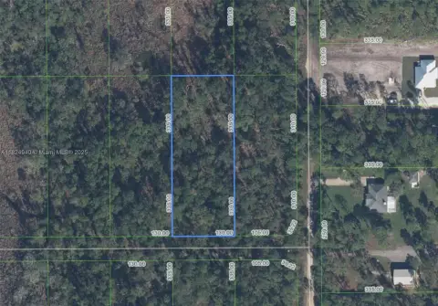 Sebring, Florida Residential Acreage