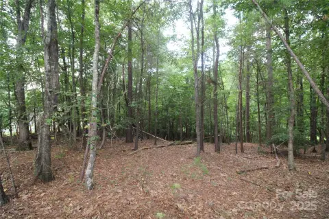 Wooded Lot in Rock Hill