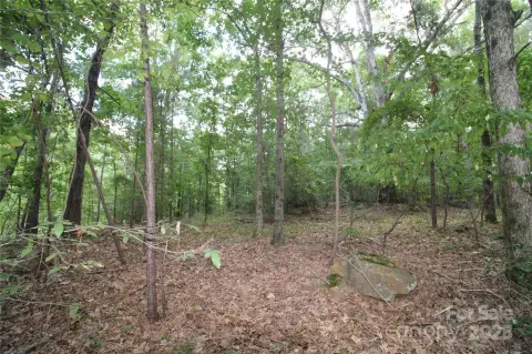 Wooded Acreage in Rock Hill