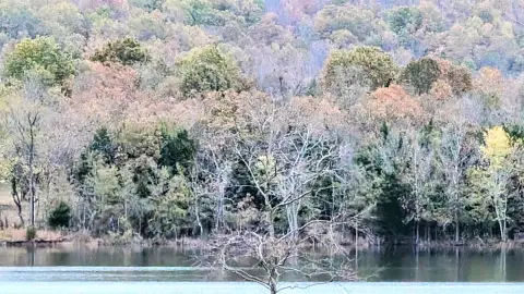 Waterfront Wooded Land Tract