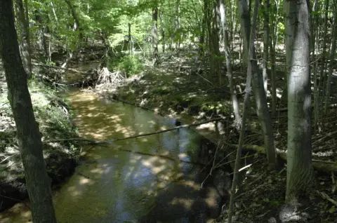 Waterfront Trout Stream Land