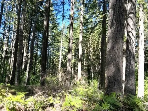 Banks, OR Timberland/Recreational Property