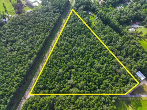 Unrestricted Land Tract with Road Access