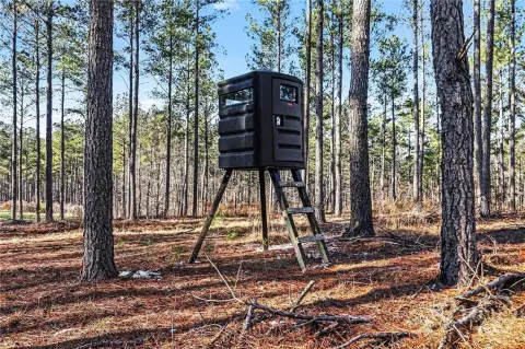 Pristine 63-Acre Hunting and Agricultural Land