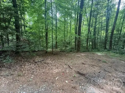 Wooded Lot in Rabun County