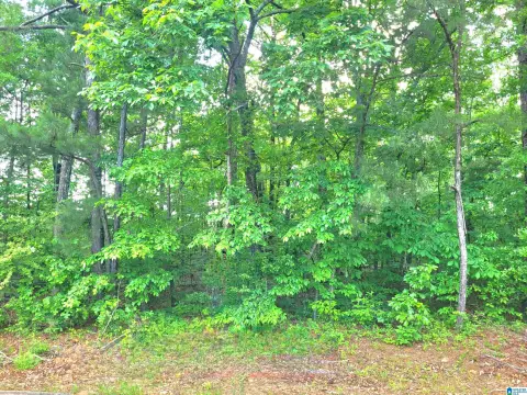 Residential Lot in Ponderosa Subdivision