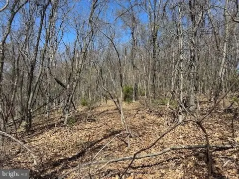 Land with Potomac River Views