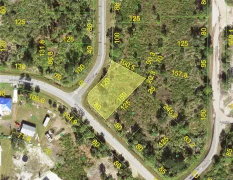 Oversized Homesite in Port Charlotte