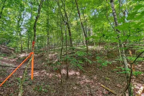 Vacant Homesite in Gated Resort