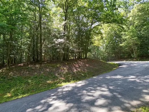 Wooded Lot with Forest Service Frontage