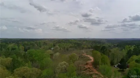 28 Acres in Dora, Alabama