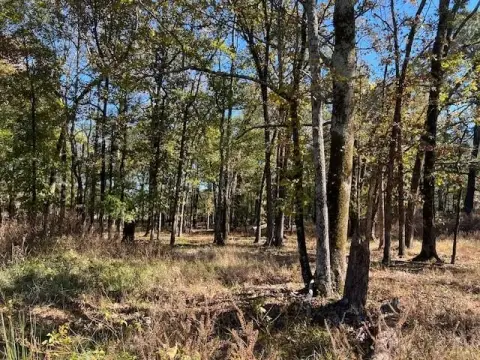 Wooded Residential Lot in Deer Valley