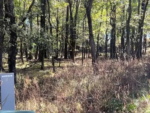 Wooded Residential Lot in Subdivision