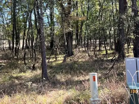 Wooded Residential Lot