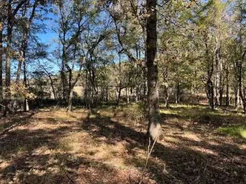 Wooded Residential Lot