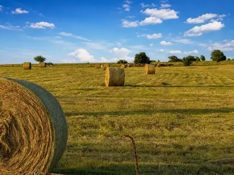 AG-Exempt Farmland with Water Well