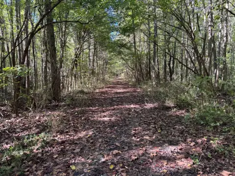 Wooded Land in Hardin County