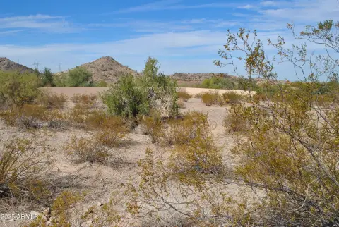 Estrella Mountain Ranch Custom Lot