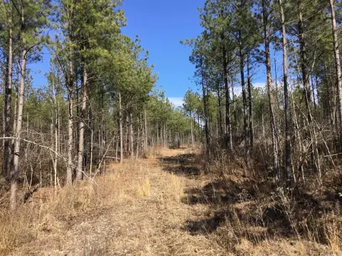 35.5 Acres Near Little Rock