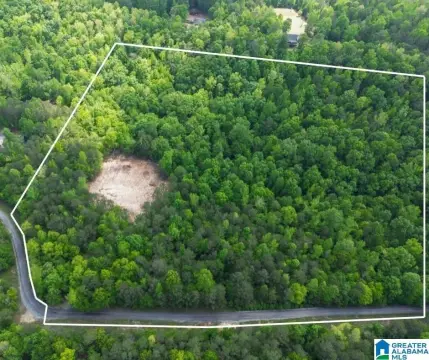 Springville Acreage with Creek