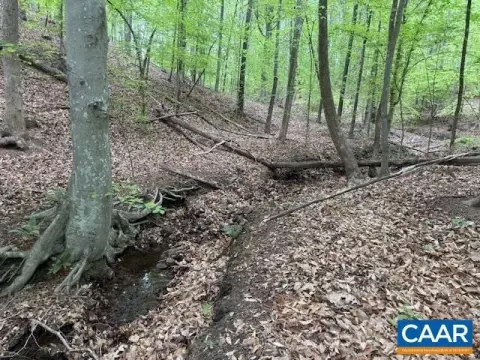 Scenic Barboursville Land Opportunity