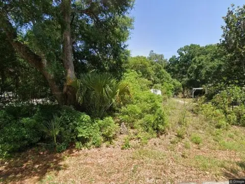 Residential Lot in Summerfield, FL
