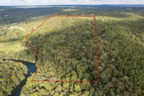 Waterfront Land with Sipsey Fork Frontage