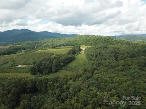 Wooded Land in Hendersonville, NC