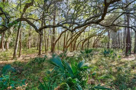 Rose Hill Plantation Land Opportunity