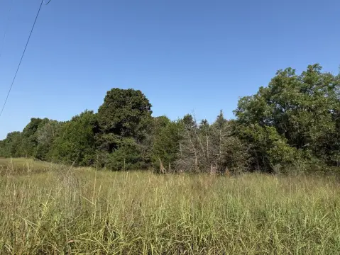 30 Acres of Wooded Land