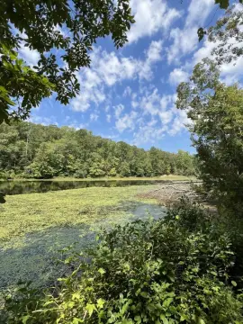 Lakefront Acreage in Cottondale, Alabama