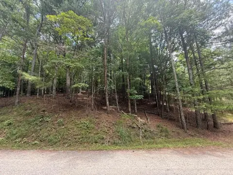 Mountain View Homesite with Septic Ready