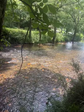 Creekfront Mountain Homesite
