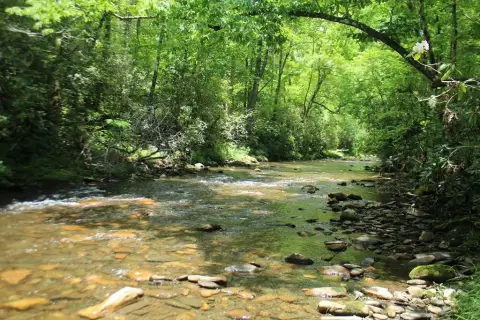 Creek-Front Recreational Land