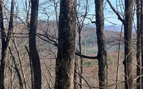 Blairsville Land with Mountain View