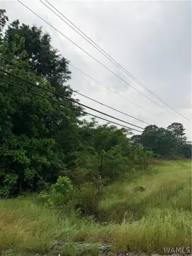 Tuscaloosa Land For Sale
